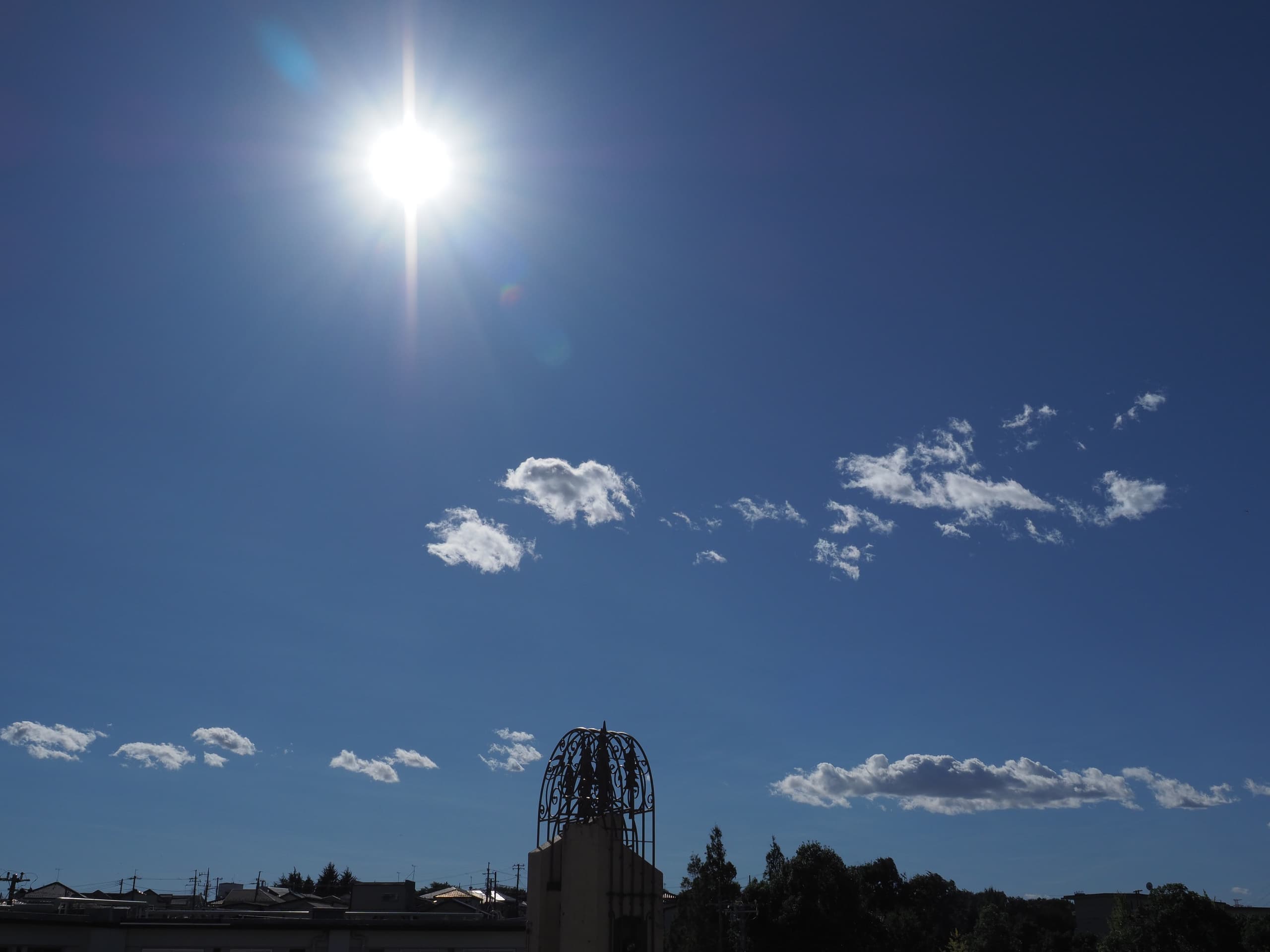 pa230005.jpg
