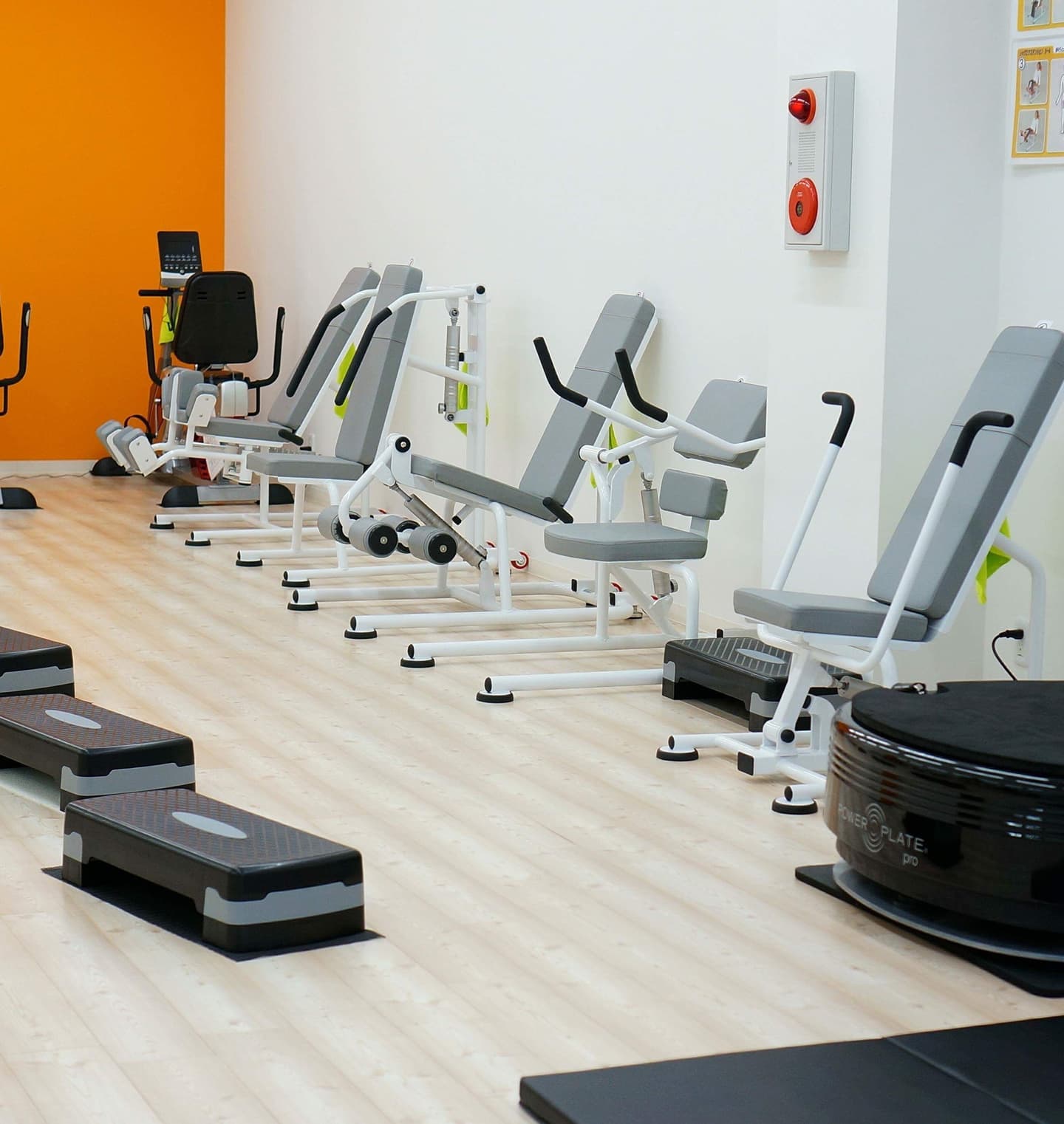 トレーニングマシンが配置された店内